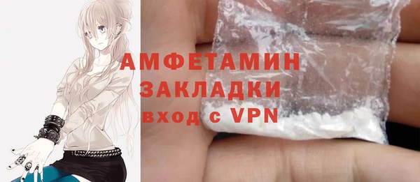 молекула духа Алексин