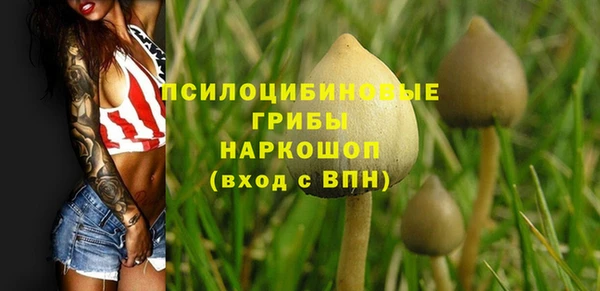 сатива Алзамай