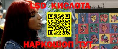 бошки Шелехов