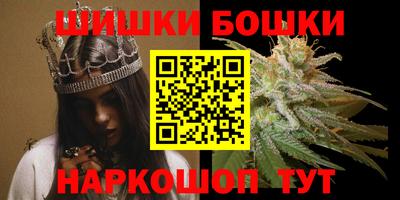 бошки Шелехов