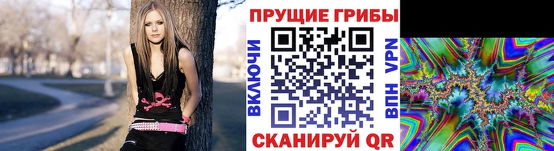 купить цена Батайск сайты даркнета клад Псилоцибиновые грибы Psilocybe