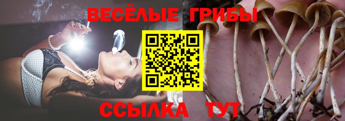 Галлюциногенные грибы ЛСД  Вход с VPN  Псилоцибиновые грибы GOLDEN TEACHER  Батайск 
